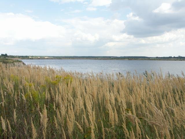 Scheibesee
