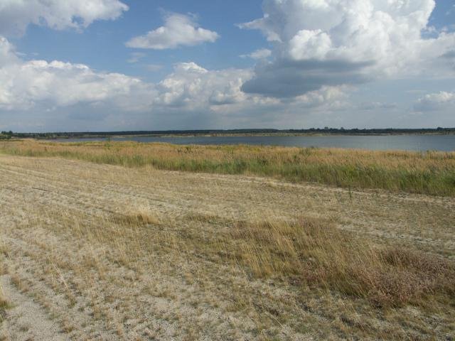 Scheibesee